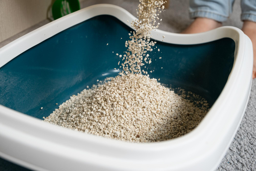 Как правильно насыпать наполнитель в кошачий лоток