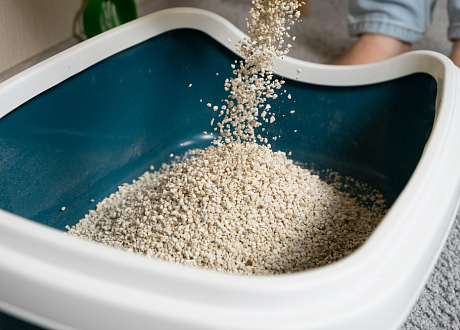 Как правильно насыпать наполнитель в кошачий лоток